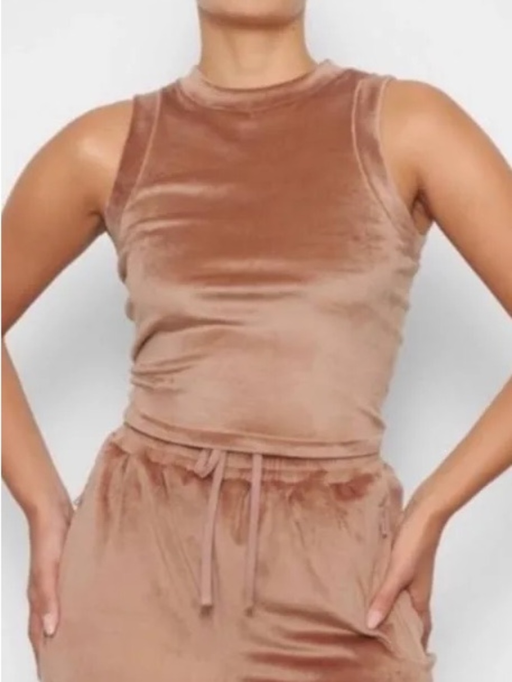Skims Velour Crewneck Tank in Sienna